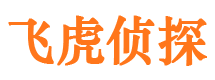 苍山外遇出轨调查取证